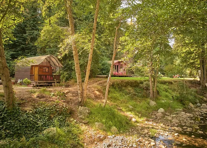 Trip to College Big Sur Campground And Cabins