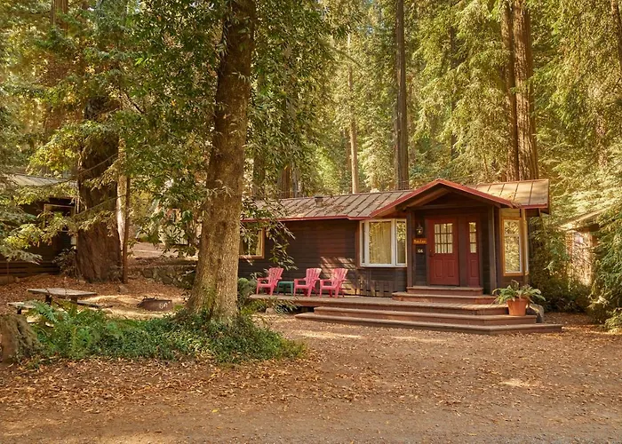 Trip to College Big Sur Campground And Cabins
