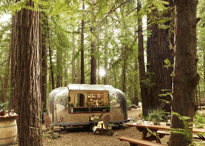 Dog friendly hotels Alila Ventana Big Sur - Inclusive (Adults Only)